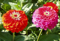 Anwendungsbeispiel für das Filter Kacheln